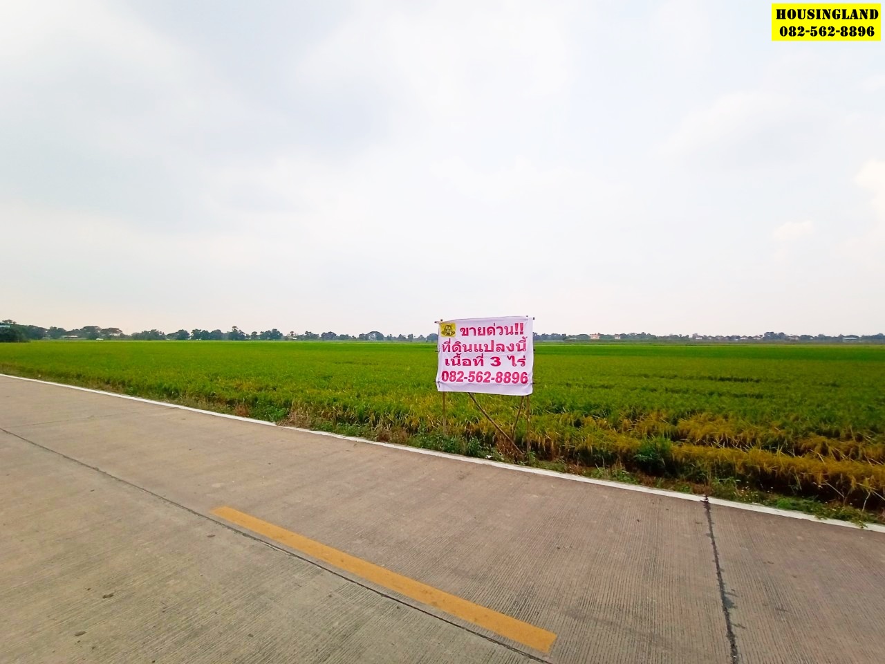 ขายที่ดินทำเลทอง ซอยคลองห้าซอยตะวันตก 58 ถนนเลียบคลองห้า ตำบลคลองห้า อำเภอคลองหลวง จังหวัดปทุมธานี 